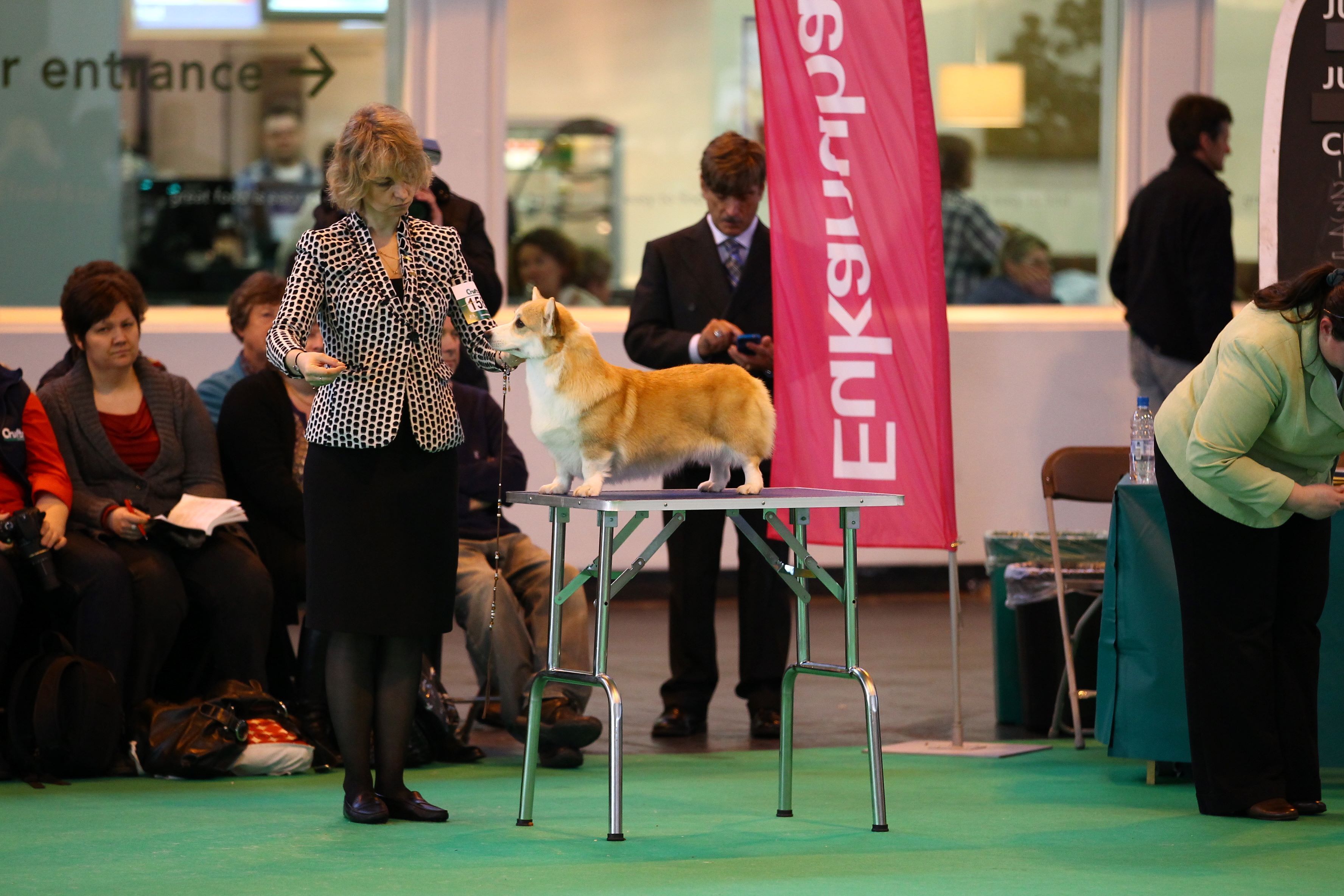 Mary at Crufts-2012