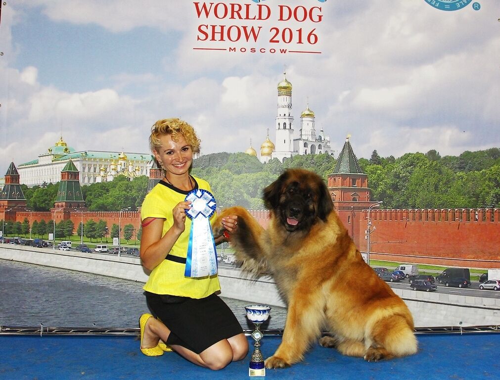 WW-2016 with handler Marianna Guseva